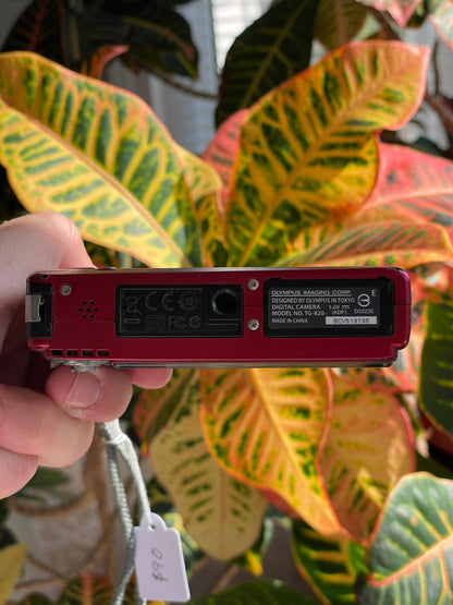 Olympus Tough TG-820 12 MP Digital Camera Bundle - Red