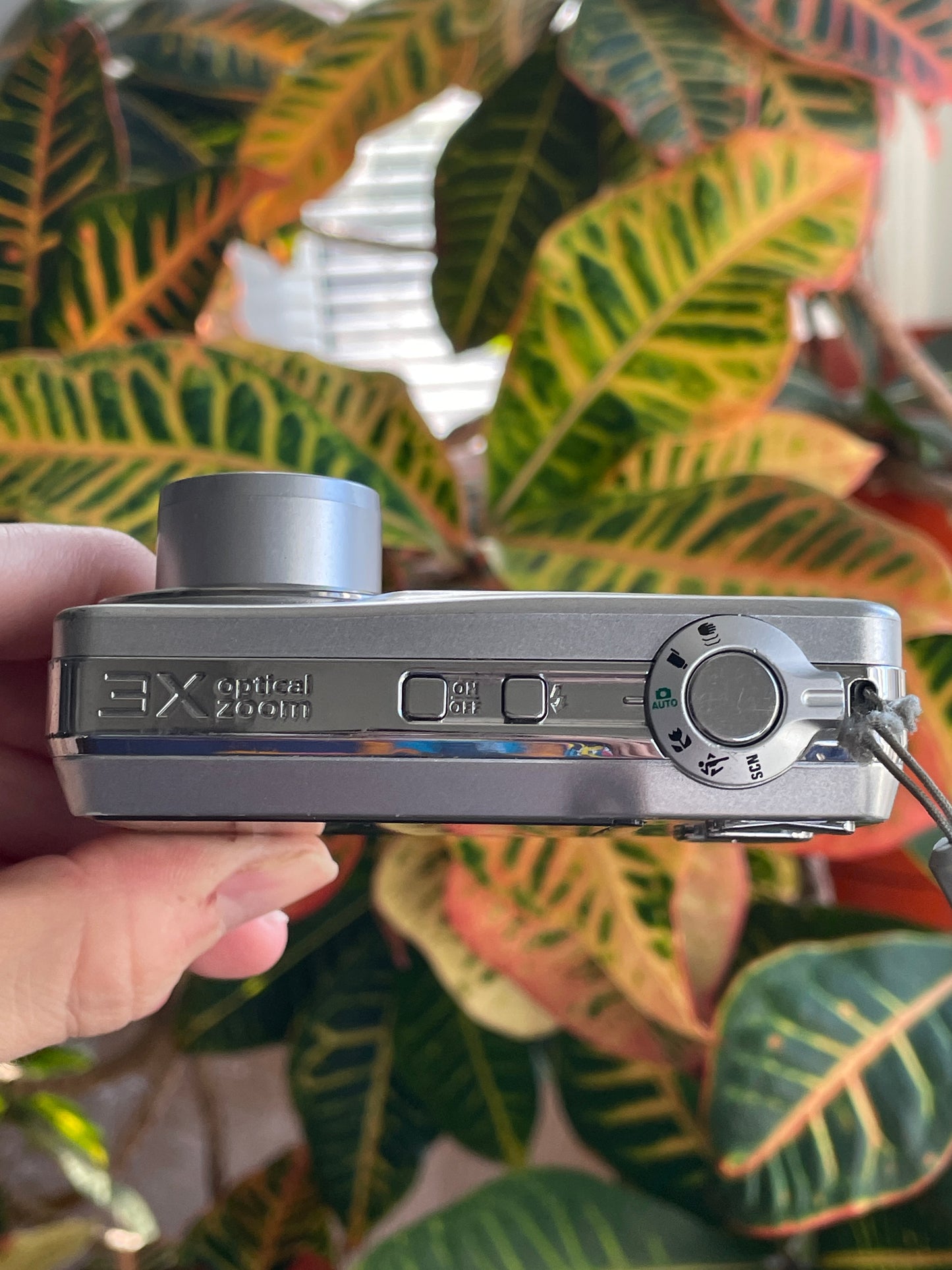 Kodak EasyShare C180 10.2 MP Digital Camera Bundle - Silver