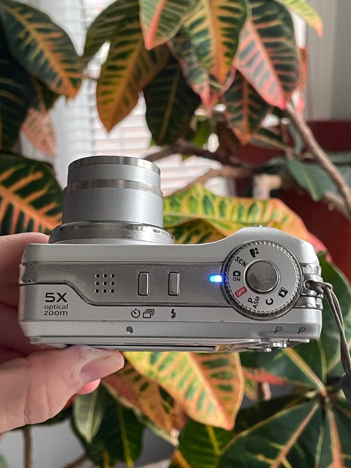 Kodak EasyShare C875 8.0 MP Digital Camera Bundle - Silver