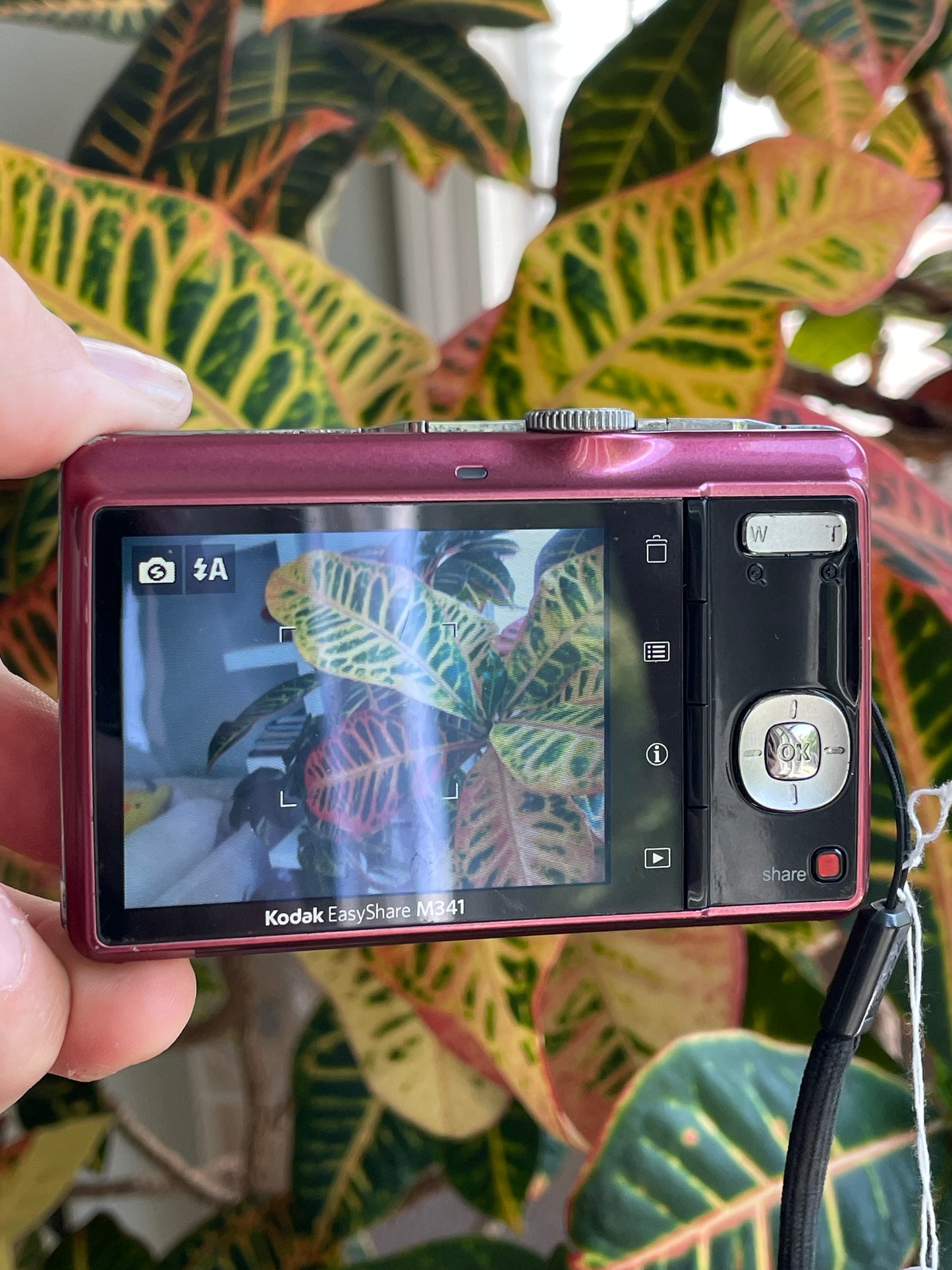 Kodak EasyShare M341 12.2 MP Digital Camera Bundle - Rose
