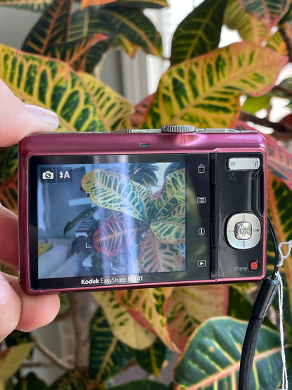 Kodak EasyShare M341 12.2 MP Digital Camera Bundle - Rose