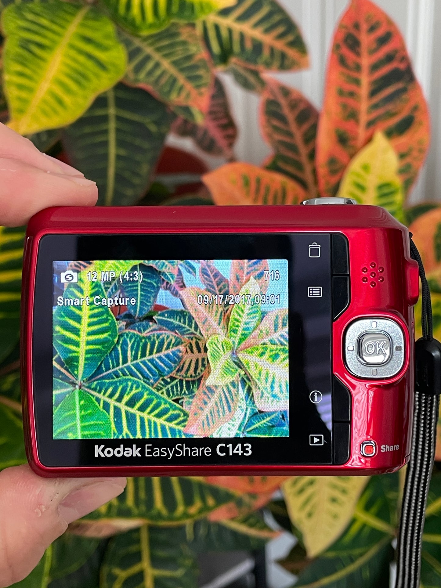 Kodak EasyShare C143 12 MP Digital Camera Bundle - Red