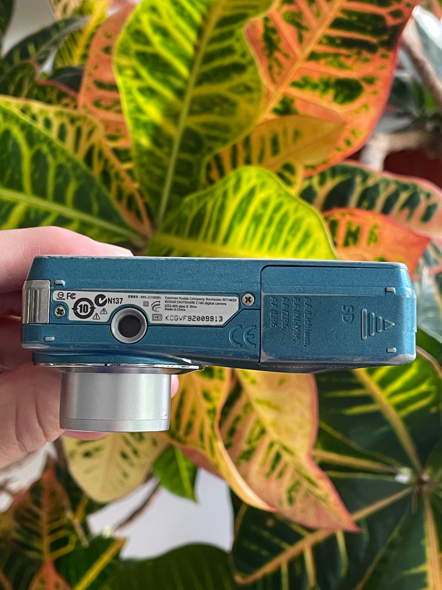 Kodak EasyShare C160 9.2 MP Digital Camera Bundle