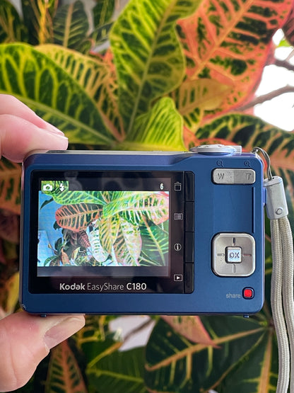 Kodak EasyShare C180 10.2 MP Digital Camera Bundle - Blue