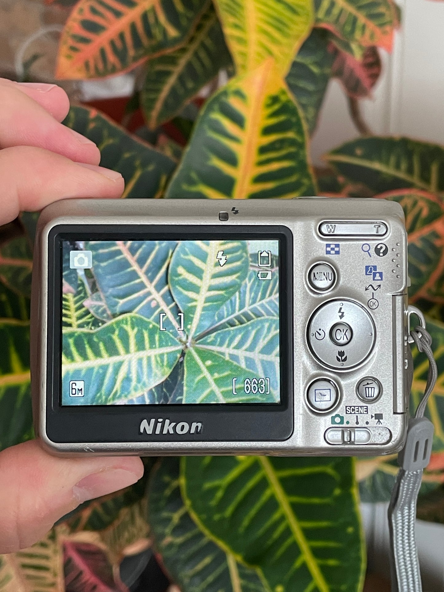 Nikon CoolPix L6 6.0 MP Digital Camera Bundle