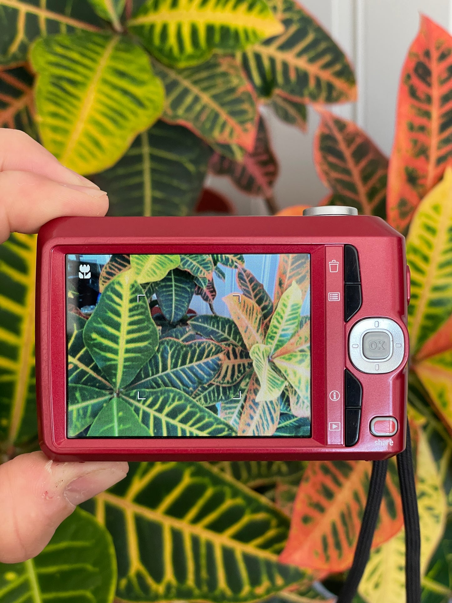Kodak EasyShare C1450 14 MP Digital Camera Bundle - Red
