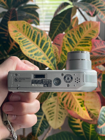 Sony Cyber-Shot DSC-P100 5.1 MP Digital Camera Bundle - Silver