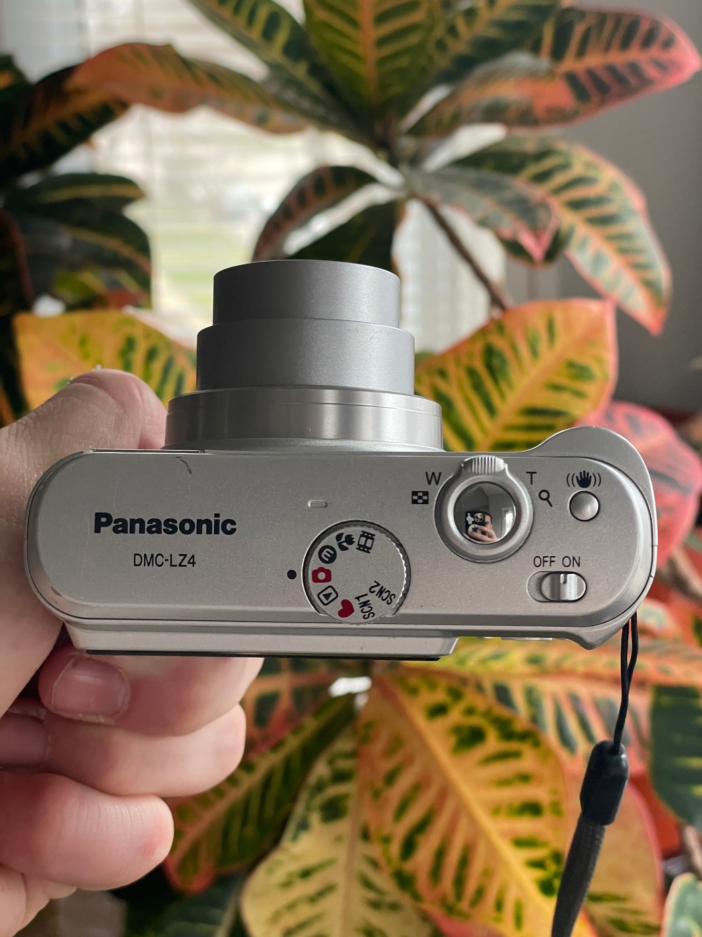 Panasonic DMC-LZ4 5.0 MP Digital Camera Bundle - Silver