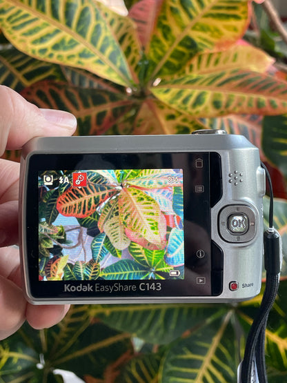 Kodak EasyShare C143 12 MP Digital Camera Bundle - Silver