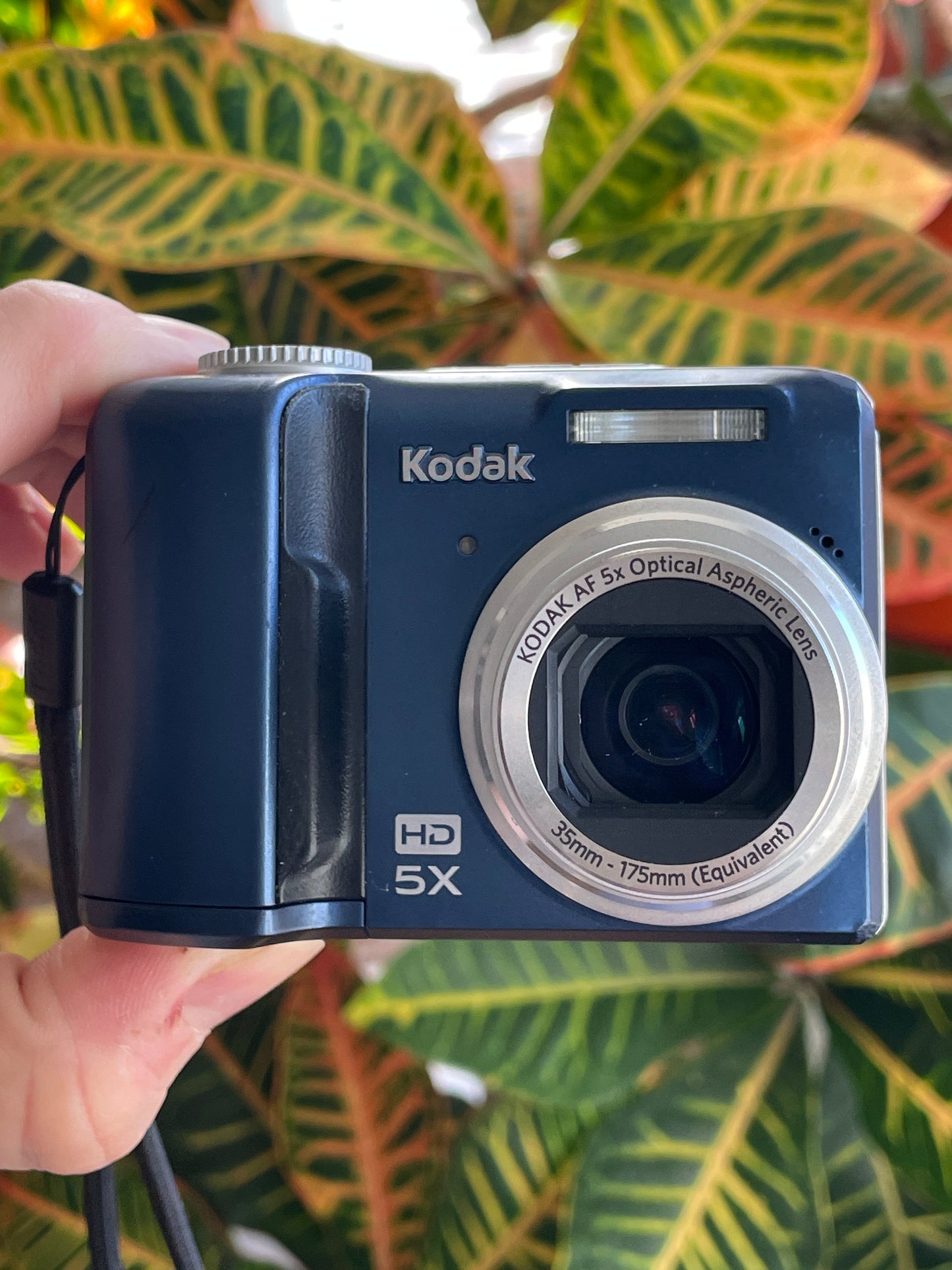 Kodak EasyShare Z1485 14 MP Digital Camera Bundle - Blue