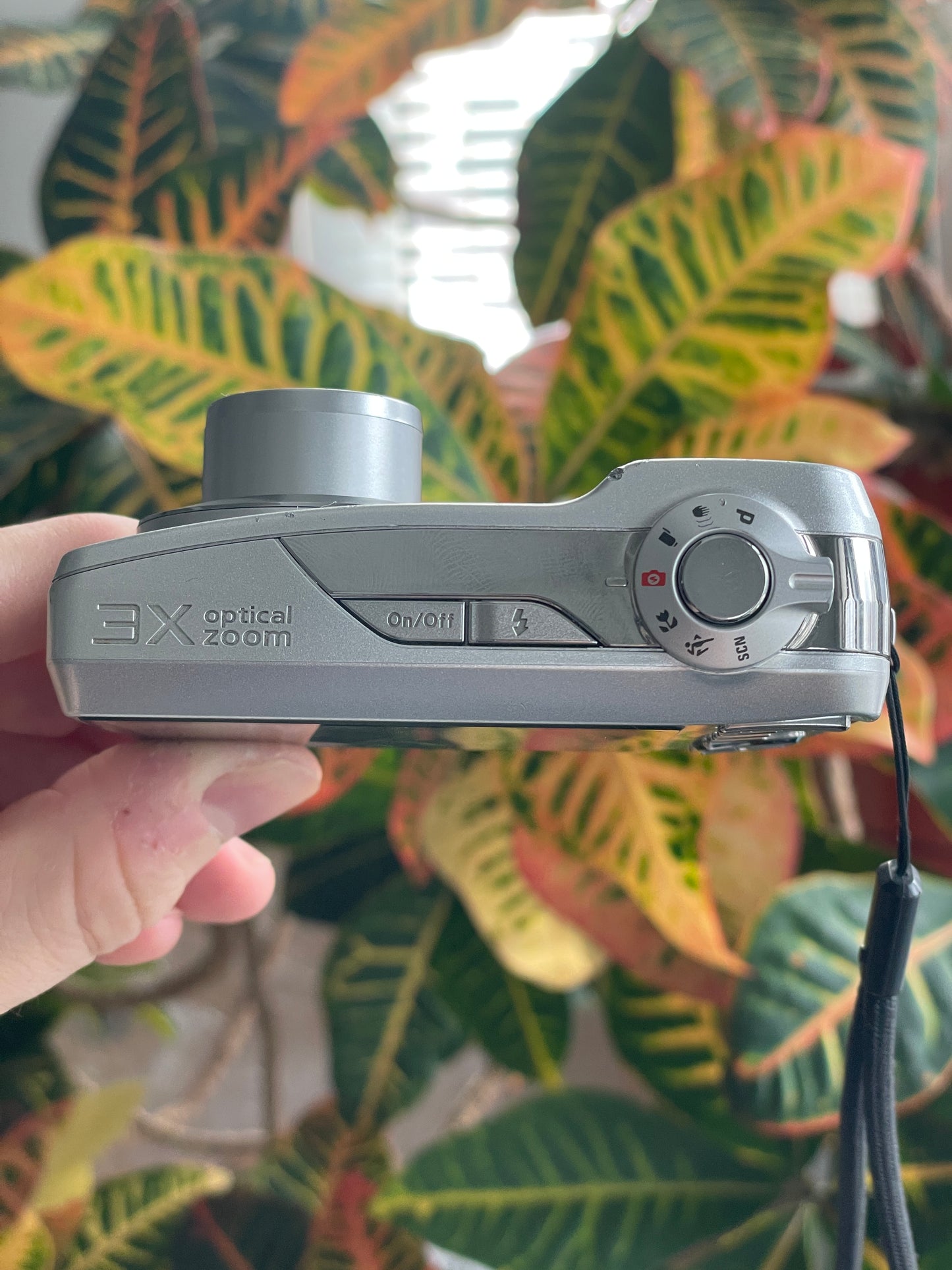 Kodak EasyShare C182 12 MP Digital Camera Bundle - Silver