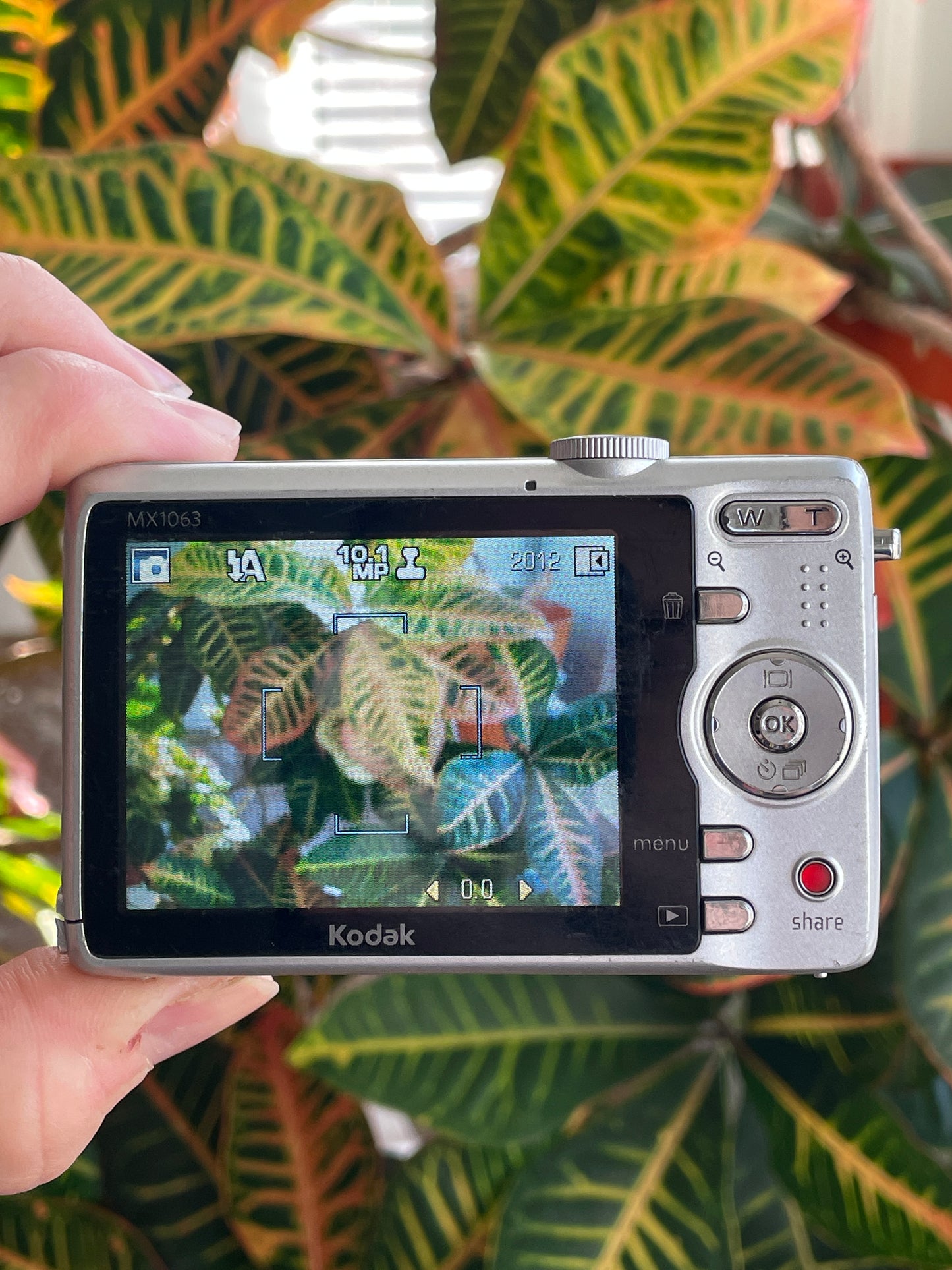 Kodak EasyShare MX1063 10.3 MP Digital Camera Bundle - Silver