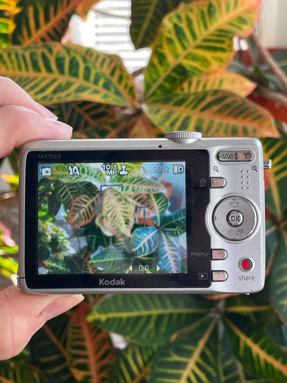 Kodak EasyShare MX1063 10.3 MP Digital Camera Bundle - Silver
