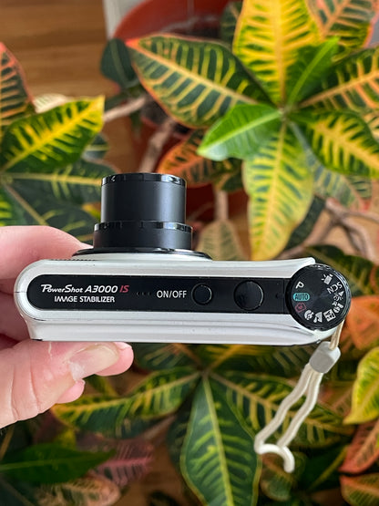 Canon PowerShot A3000 IS 10 MP Digital Camera Bundle