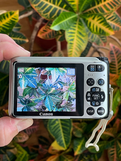Canon PowerShot A3000 IS 10 MP Digital Camera Bundle
