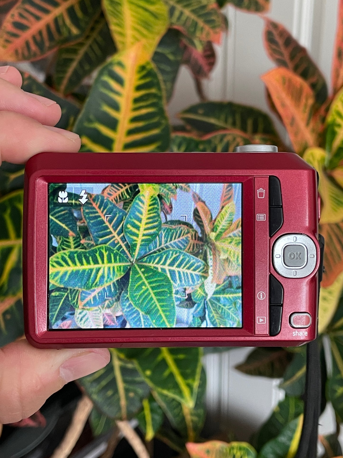 Kodak EasyShare C1450 14 MP Digital Camera Bundle - Red