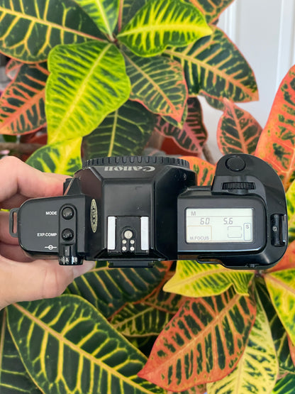 Canon EOS 650 35mm SLR Film Camera Bundle