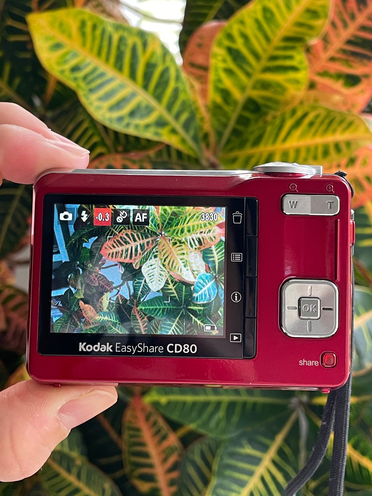 Kodak EasyShare CD80 10.2 MP Digital Camera Bundle - Red