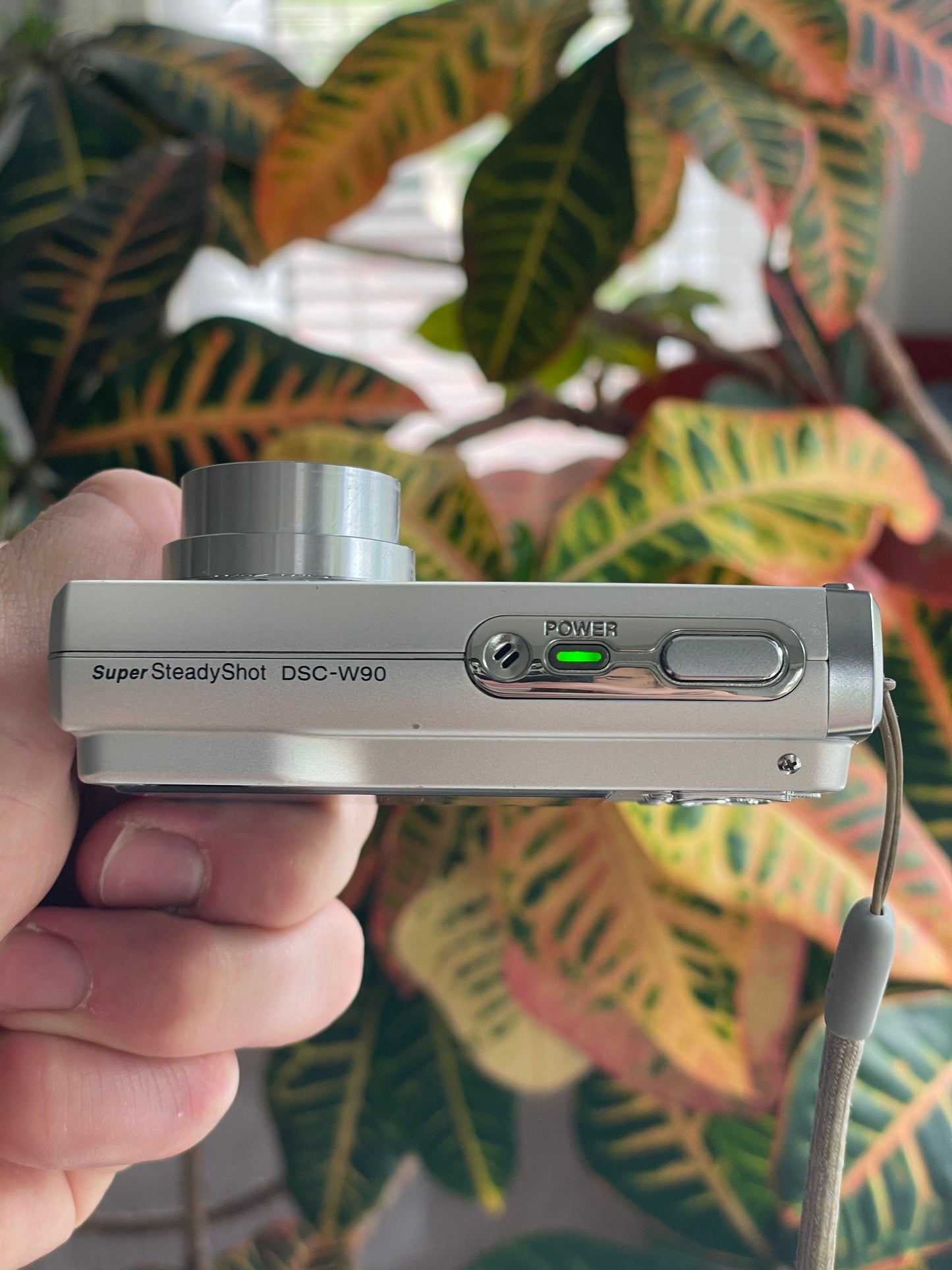 Sony CyberShot Super SteadyShot DSC-W90 8.1 MP Digital Camera Bundle - Silver