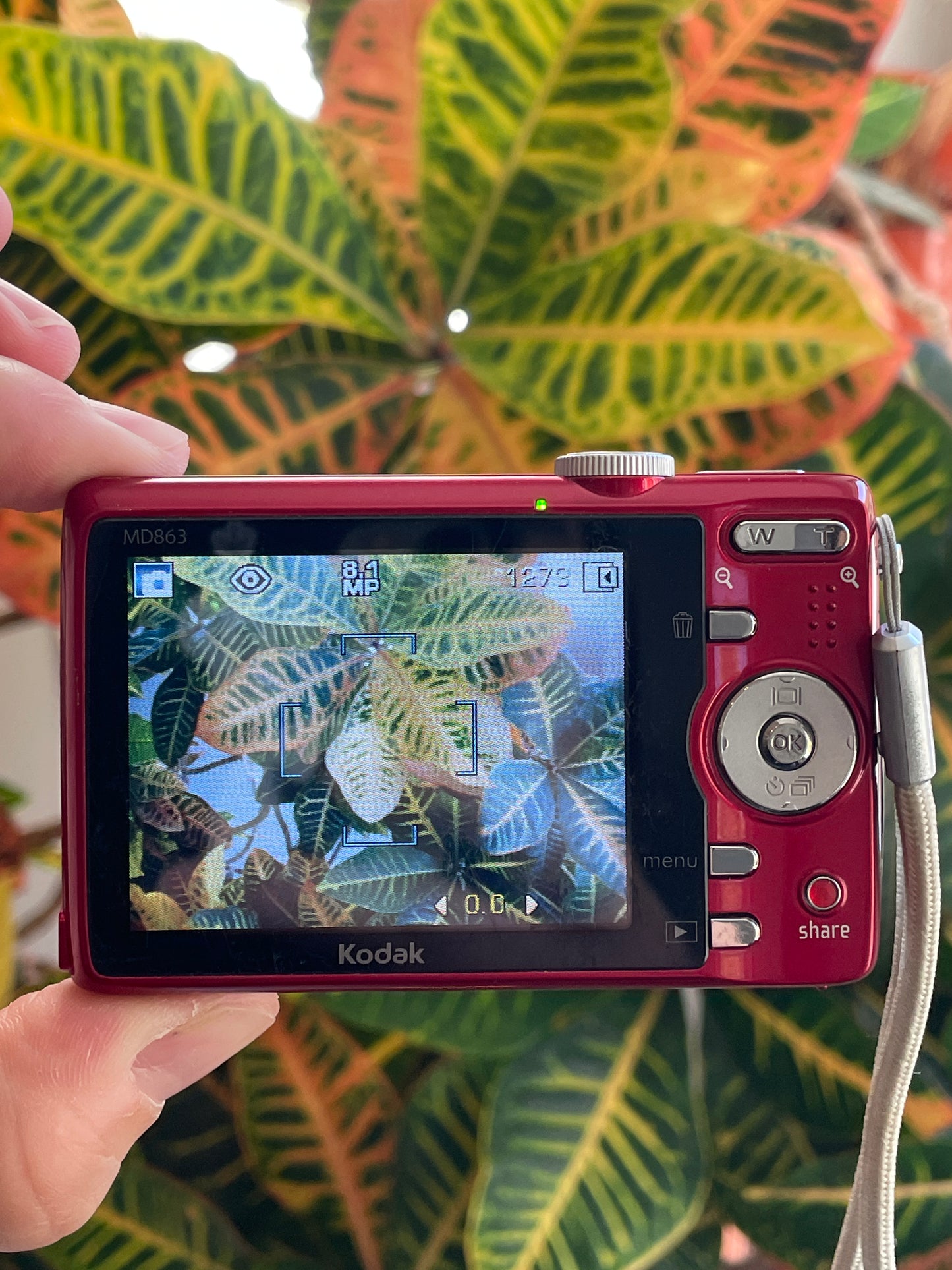 Kodak EasyShare MD863 8.2 MP Digital Camera Bundle - Red