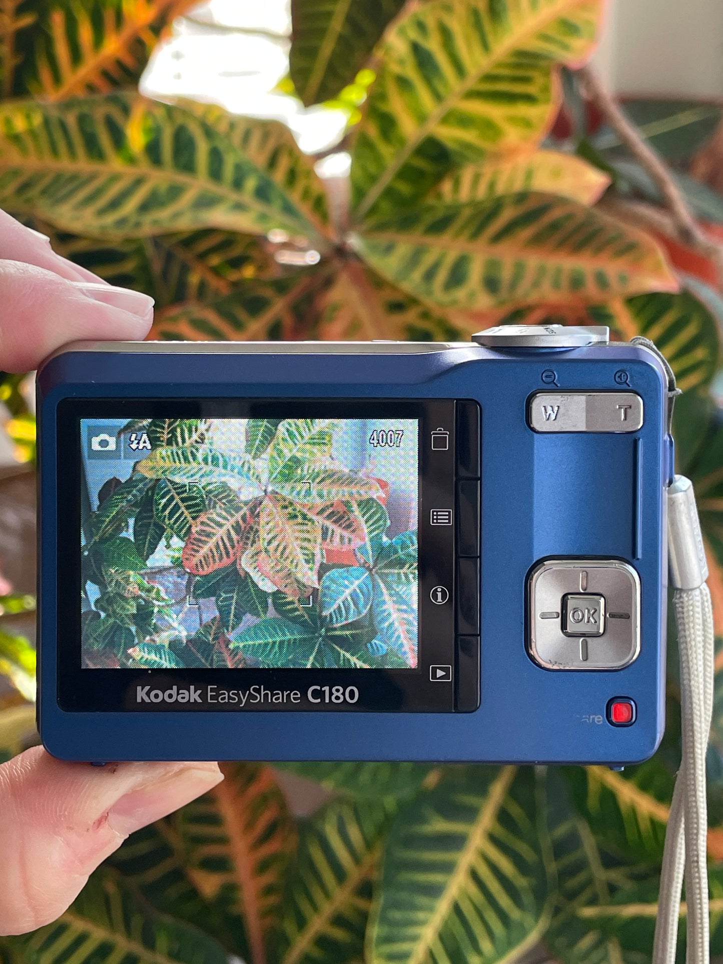 Kodak EasyShare C180 10.2 MP Digital Camera Bundle - Blue