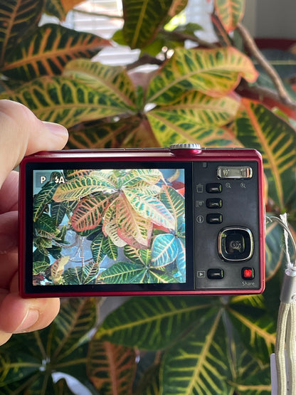 Kodak EasyShare M380 10.2 MP Digital Camera Bundle - Red