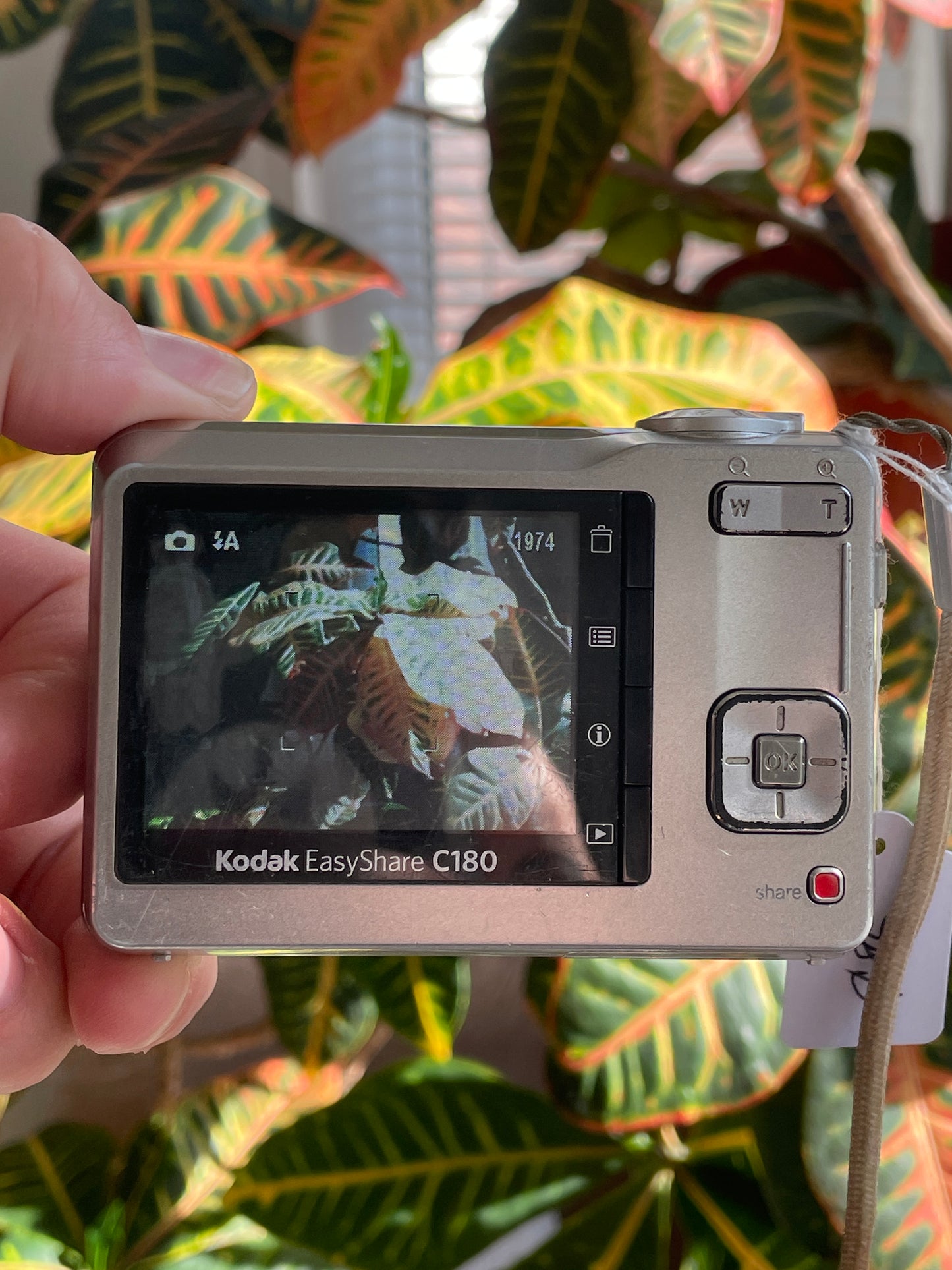 Kodak EasyShare C180 10.2 MP Digital Camera Bundle - Silver