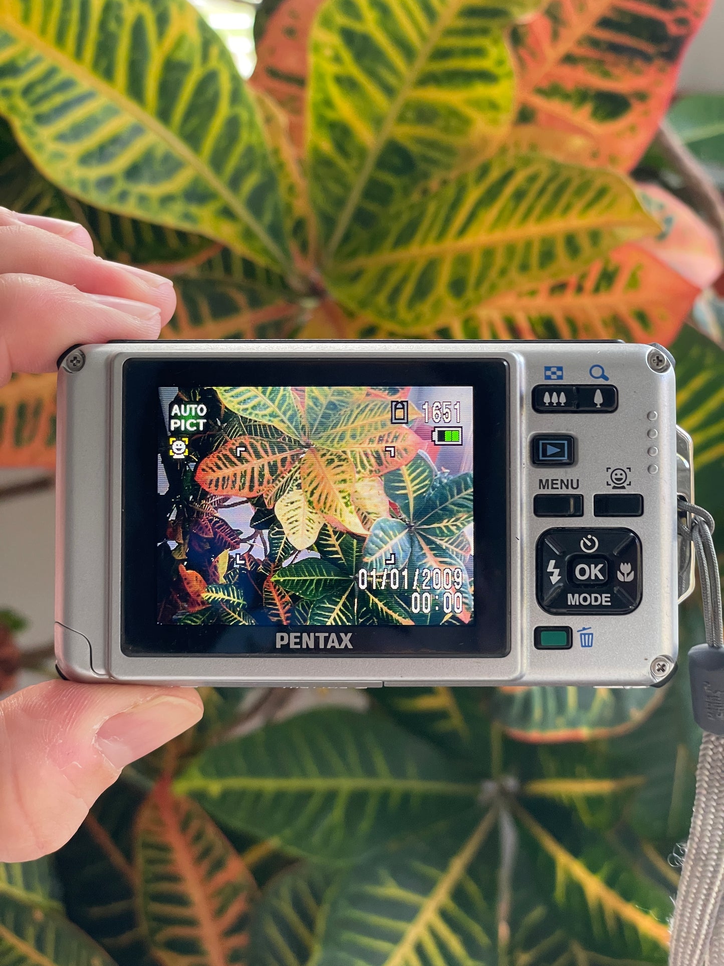 Pentax Optio W80 12.1 MP Digital Camera Bundle - Red Orange