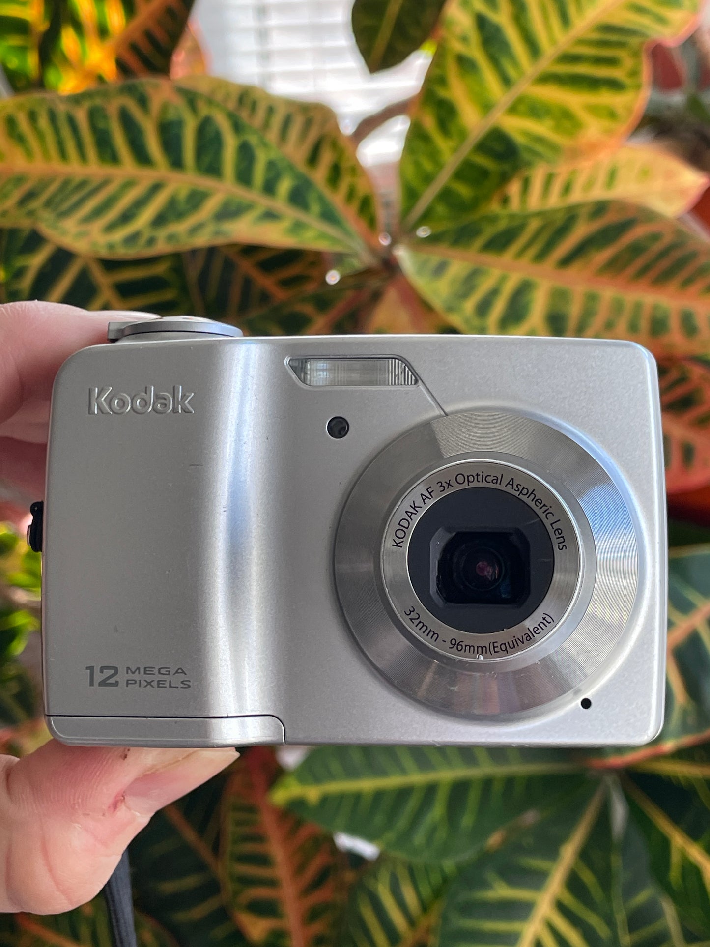 Kodak EasyShare C182 12 MP Digital Camera Bundle - Silver