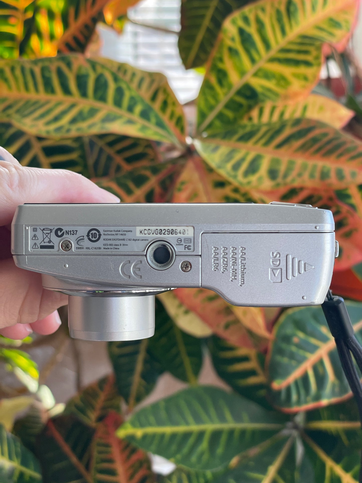 Kodak EasyShare C182 12 MP Digital Camera Bundle - Silver