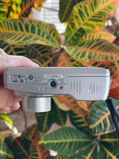 Kodak EasyShare C182 12 MP Digital Camera Bundle - Silver