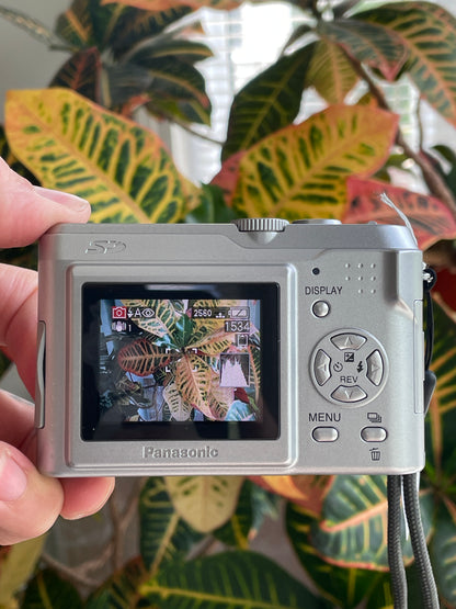 Panasonic Lumix DMC-LZ2 5.0 MP Digital Camera Bundle - Silver