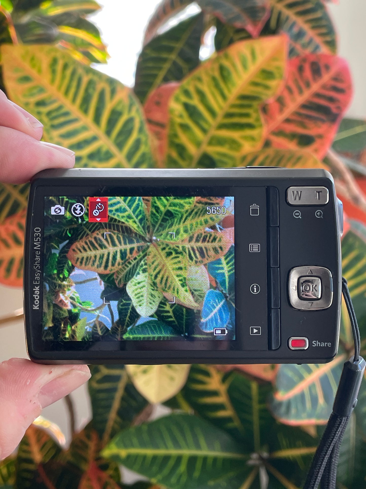 Kodak EasyShare M530 12 MP Digital Camera Bundle - Carbon