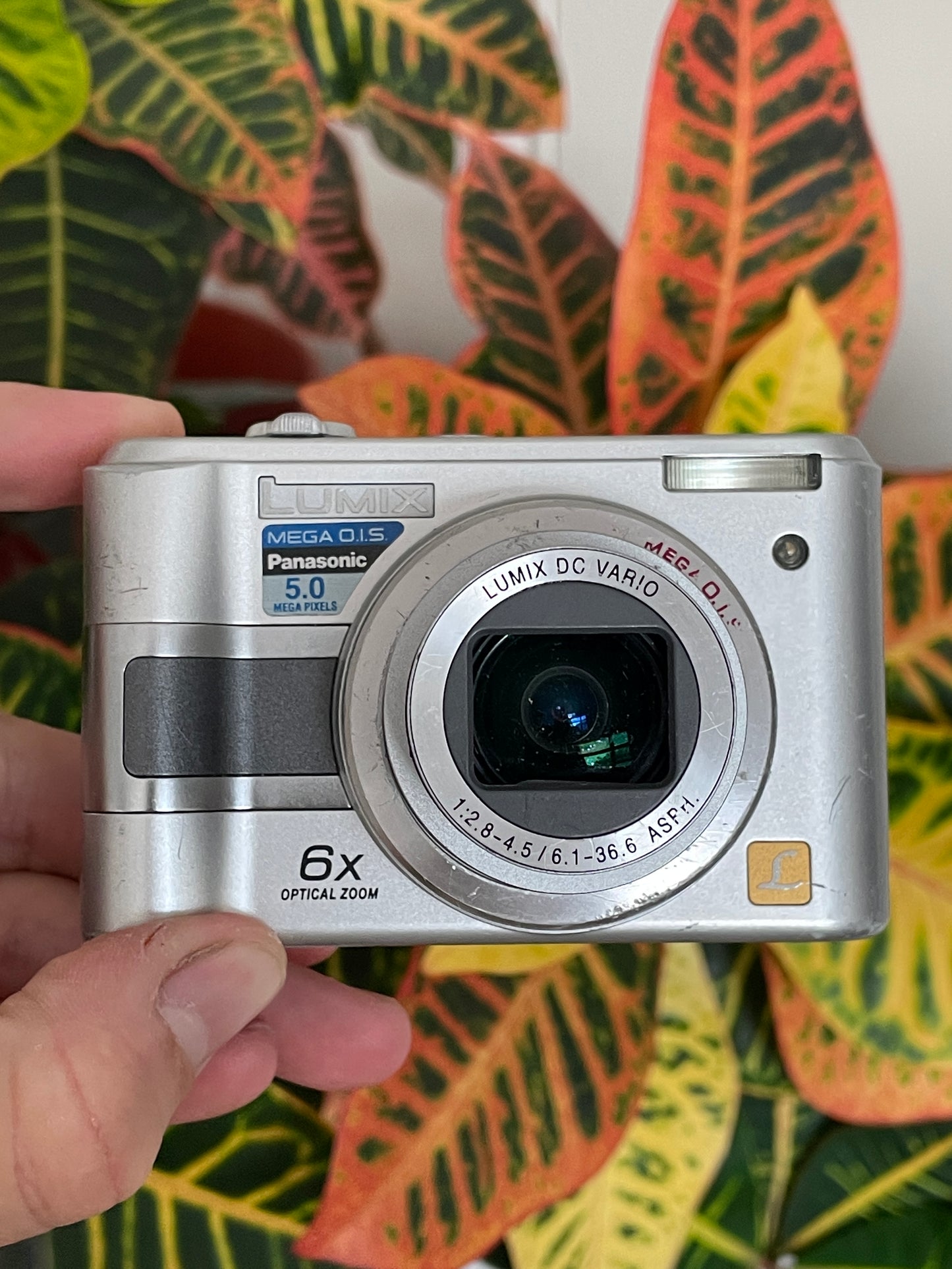 Panasonic Lumix DMC-LZ3 5.0 MP Digital Camera Bundle