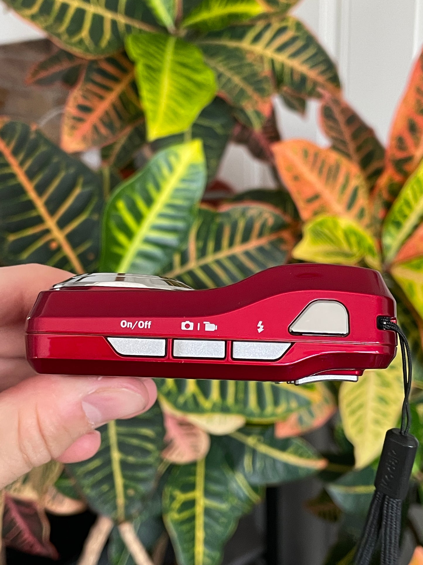 Kodak EasyShare C1505 12 MP Digital Camera - Red