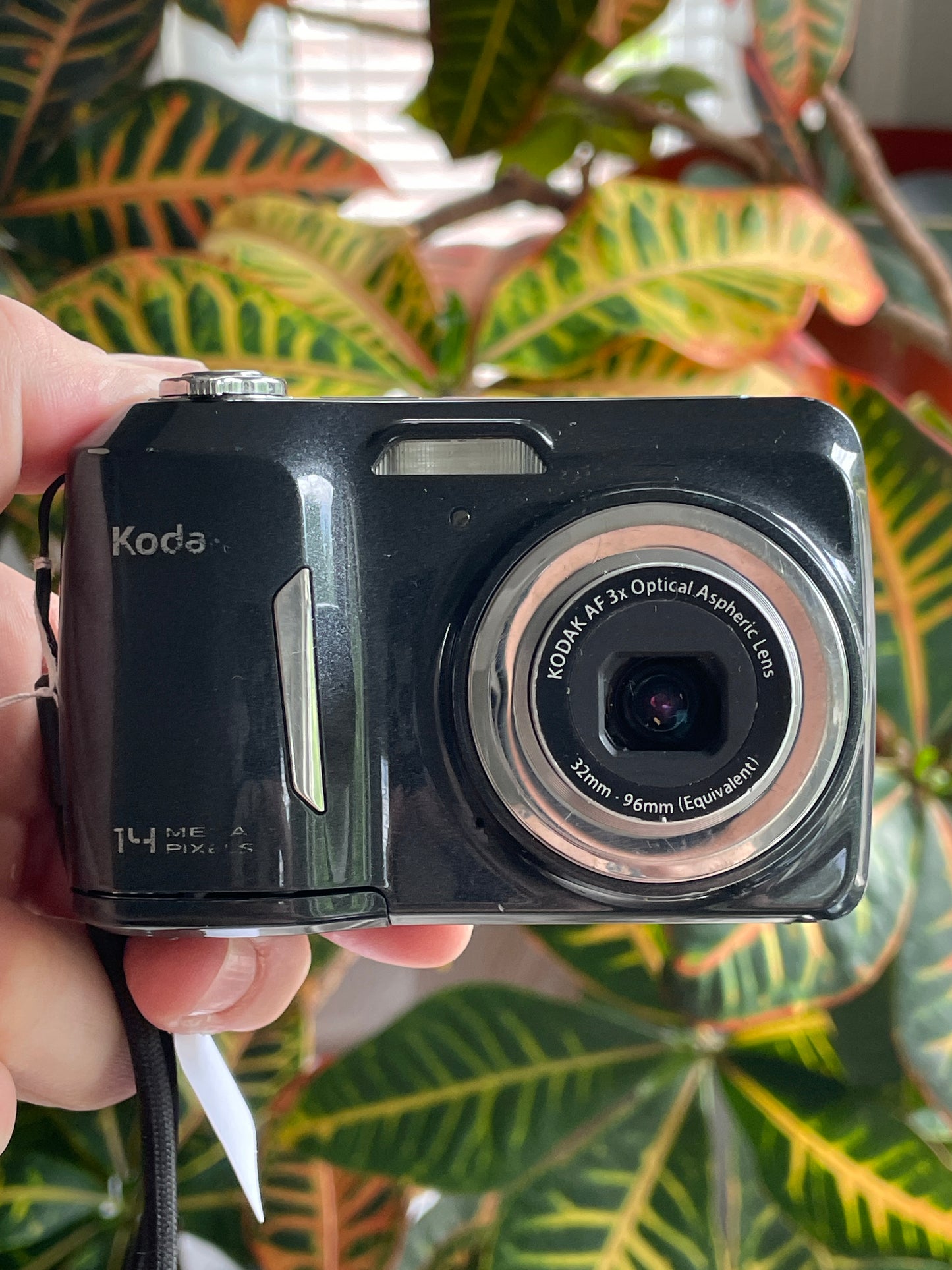 Kodak EasyShare C183 14 MP Digital Camera Bundle - Black