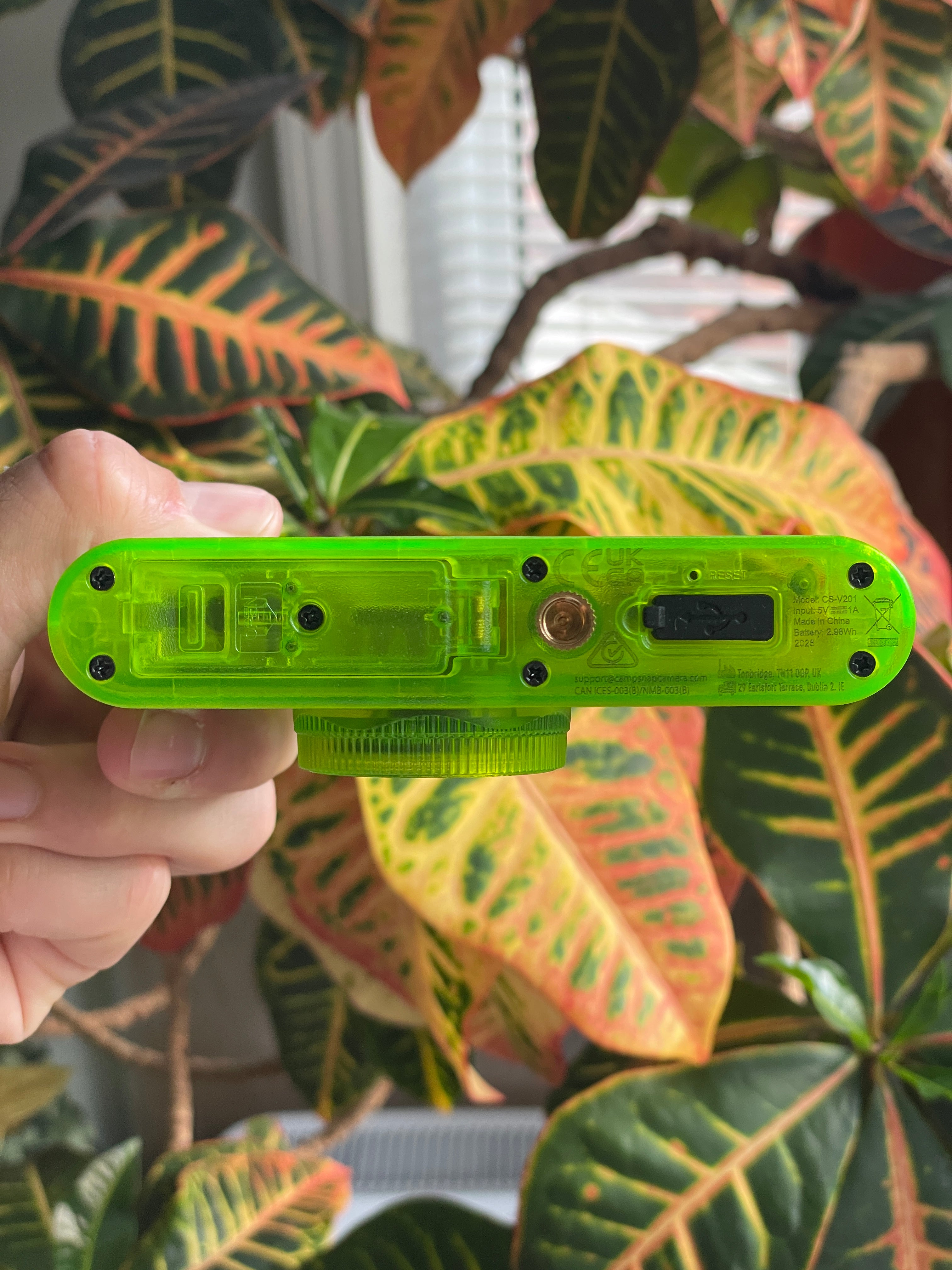Camp Snap 2 (Screen-Free Digital Camera) - Twisted Lime – OMWP Studios