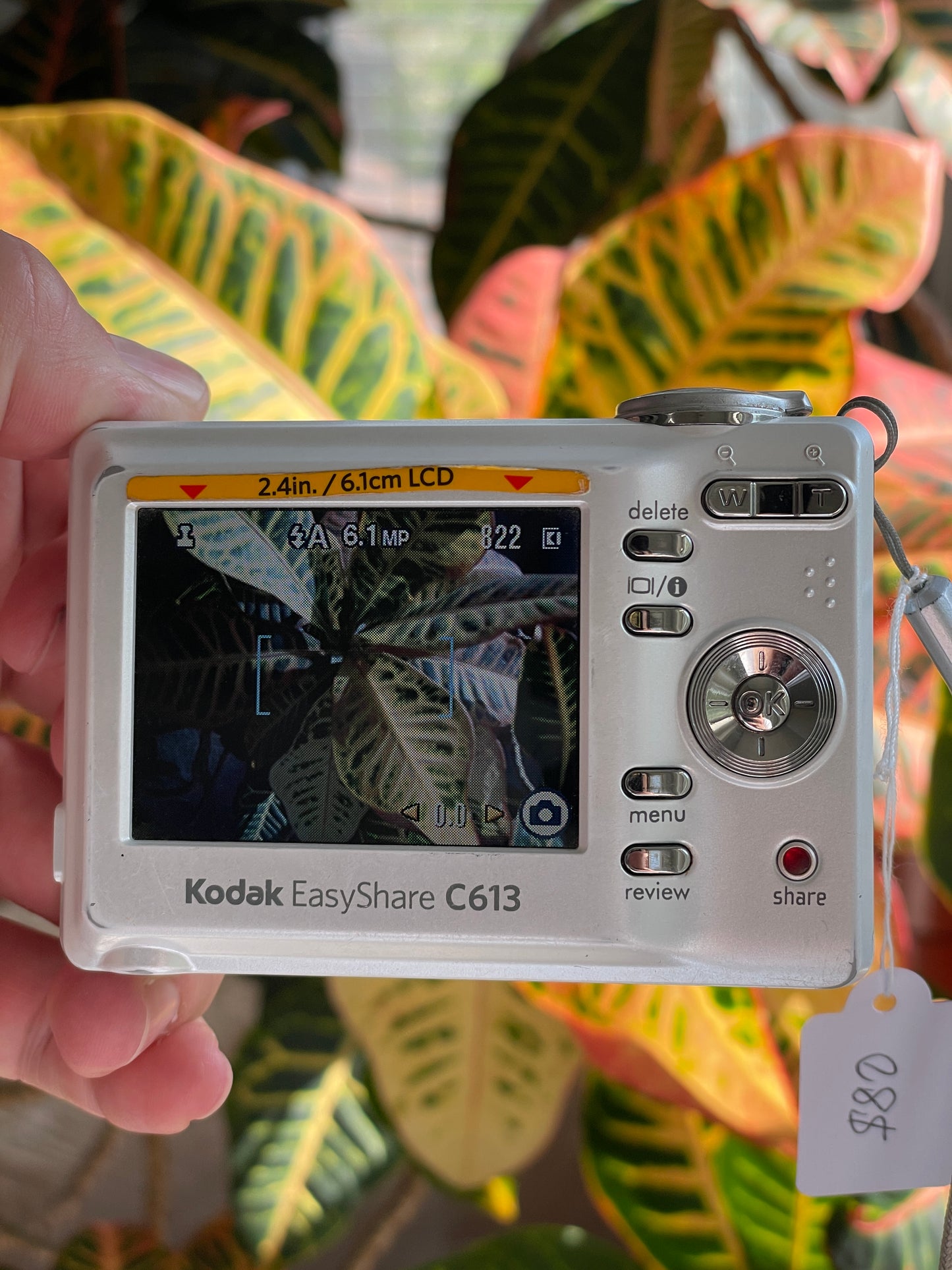 Kodak EasyShare C613 6.2 MP Digital Camera Bundle - White