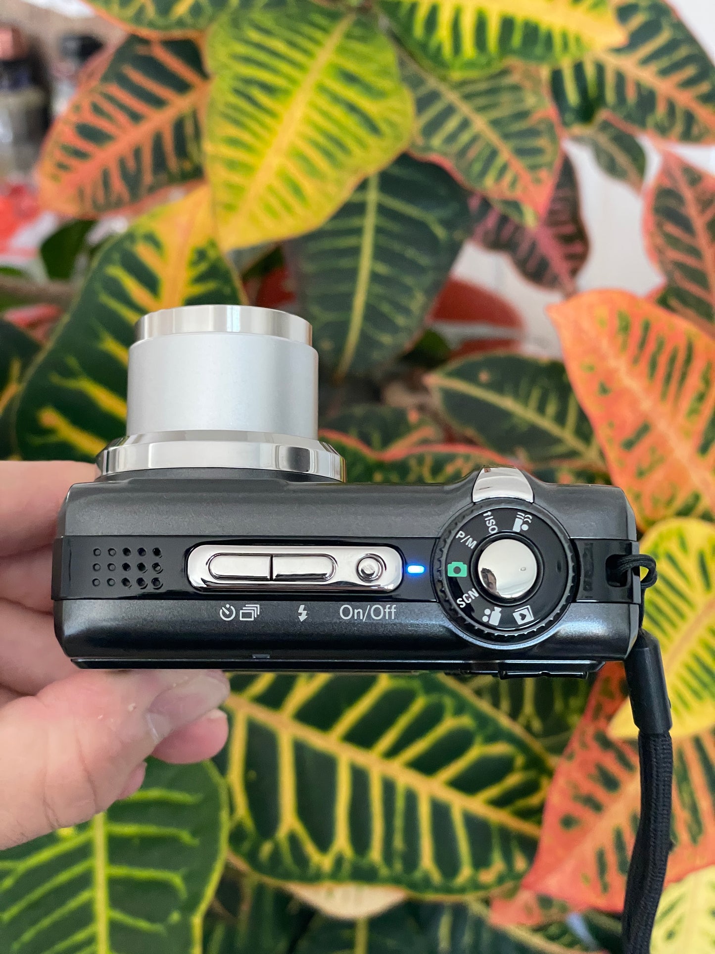 Kodak EasyShare Z885 8.1 MP Digital Camera Bundle
