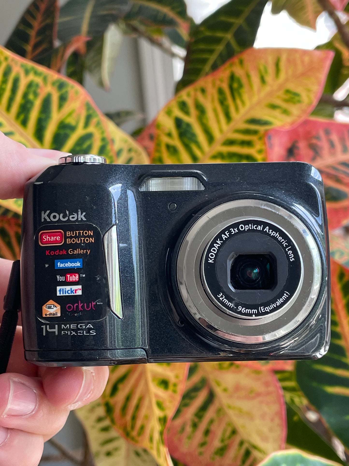 Kodak EasyShare C183 14 MP Digital Camera Bundle - Black