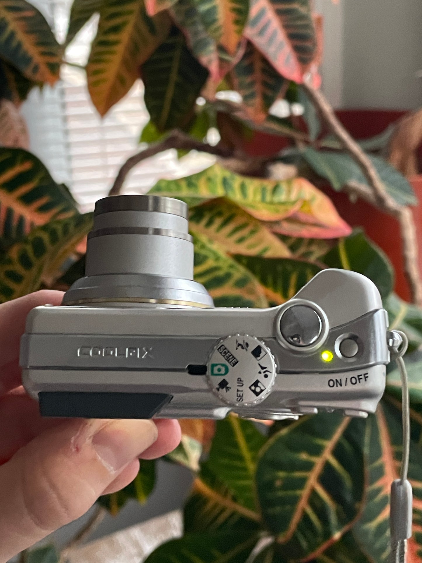 Nikon CoolPix 4200 4.0 MP Digital Camera Bundle - Silver