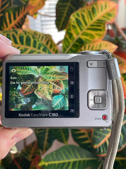 Kodak EasyShare C180 10.2 MP Digital Camera Bundle - Silver