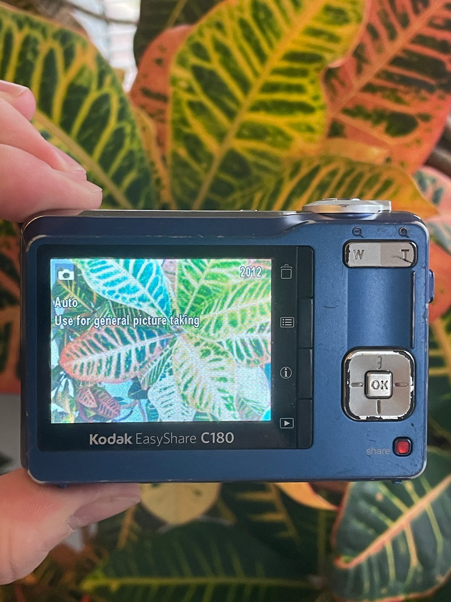 Kodak EasyShare C180 10.2 MP Digital Camera Bundle - Blue