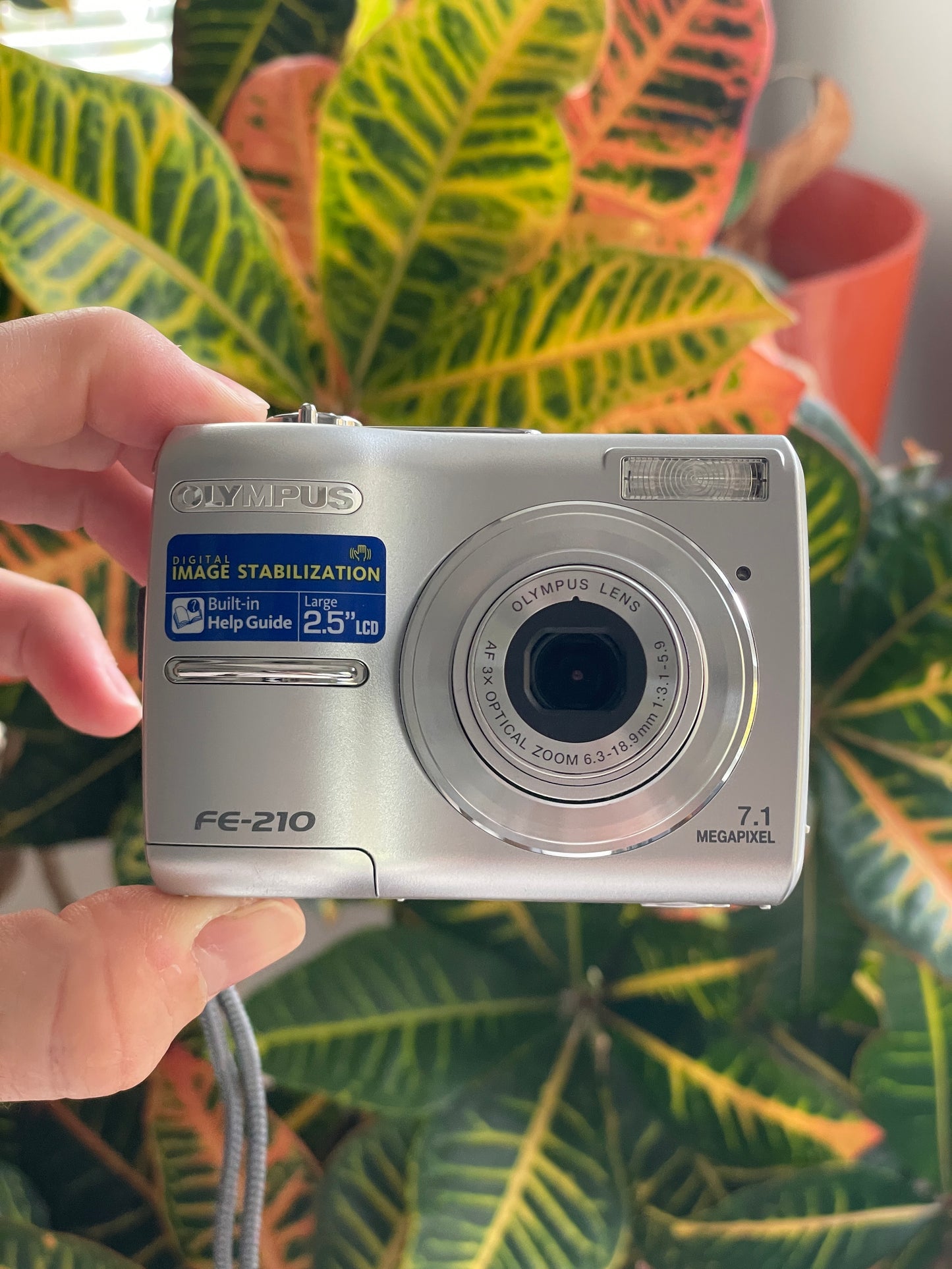 Olympus FE-210 7.1 MP Digital Camera Bundle