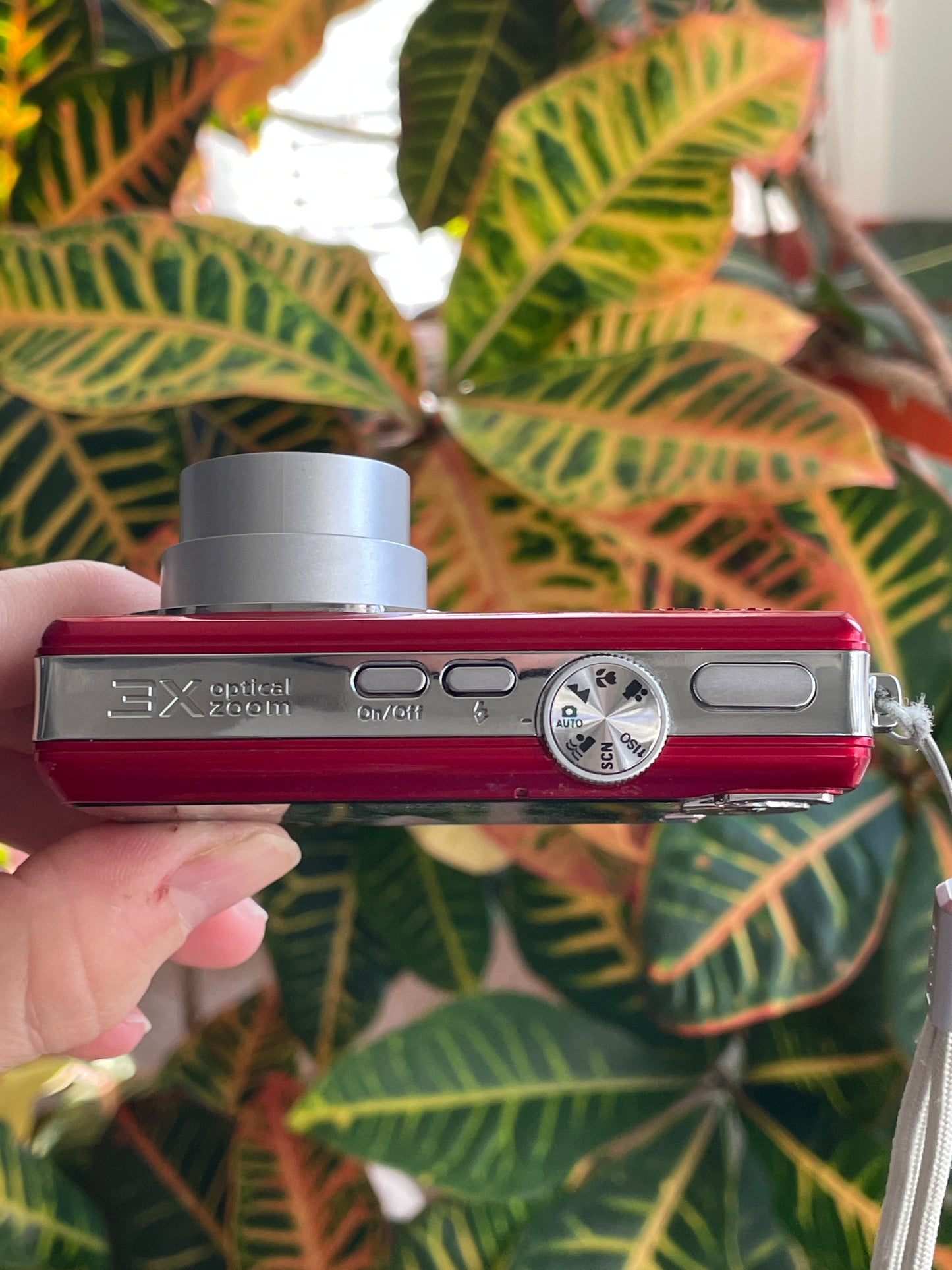 Kodak EasyShare MX1063 10.3 MP Digital Camera Bundle - Candy Red