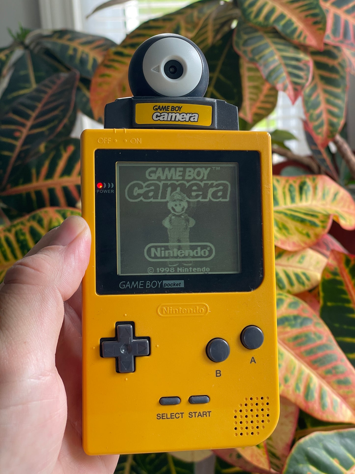 GameBoy Pocket - Yellow w/ Yellow Camera
