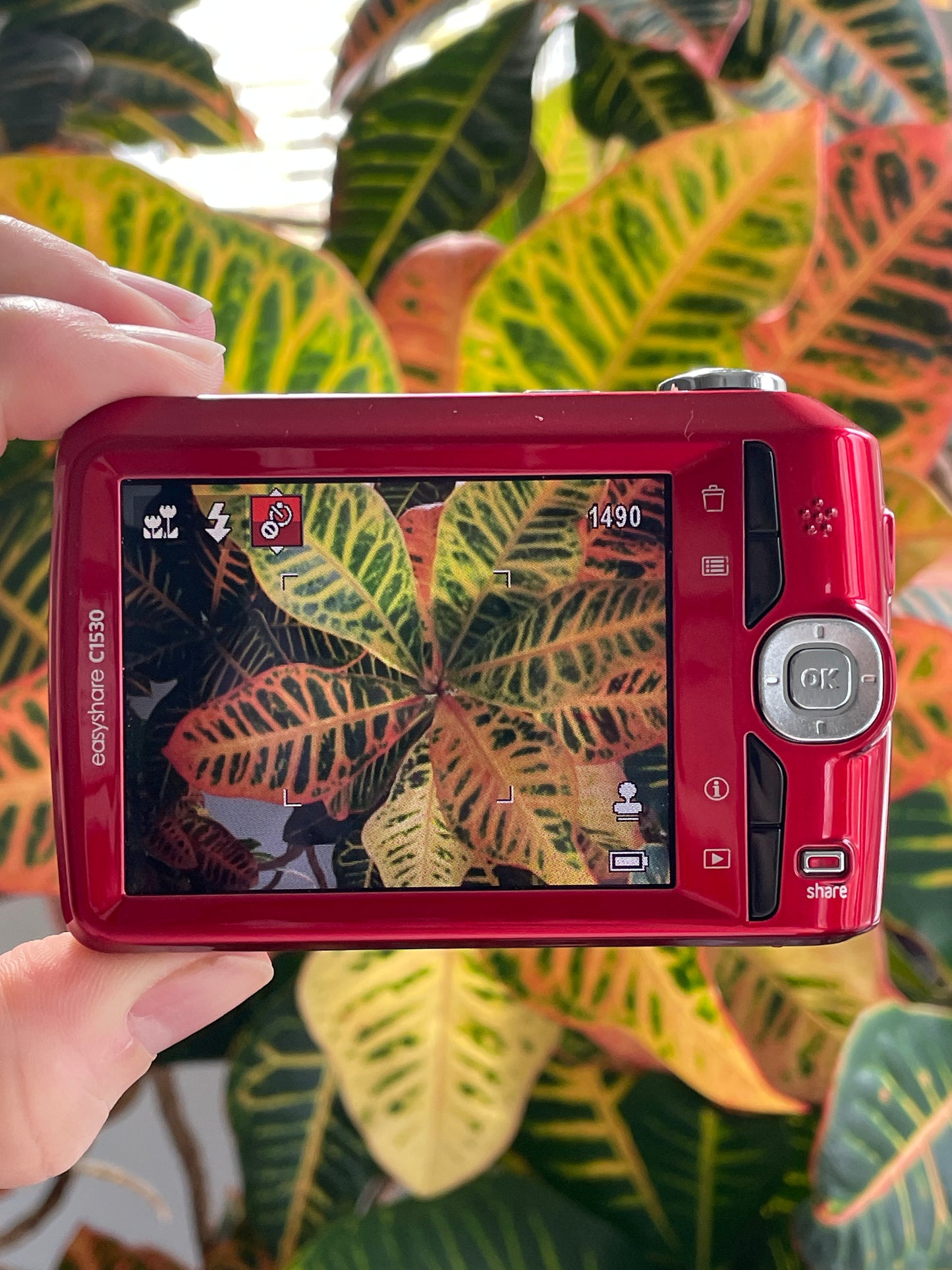 Kodak EasyShare C1530 14 MP Digital Camera Bundle - Red