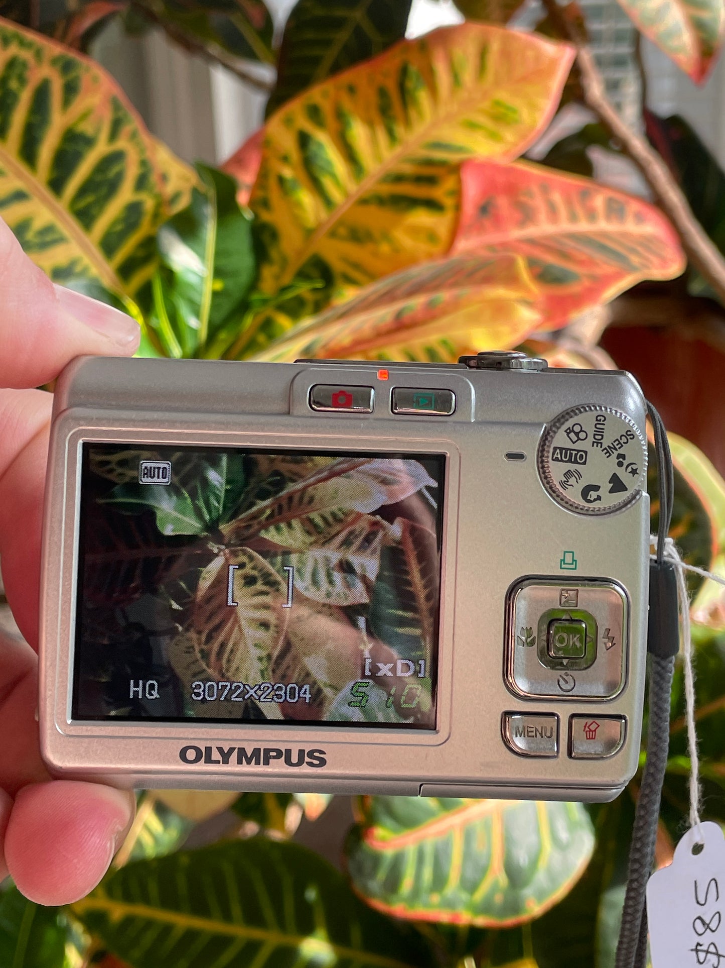 Olympus FE-210 7.1 MP Digital Camera Bundle - Silver