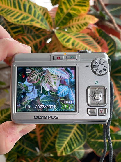 Olympus FE-210 7.1 MP Digital Camera Bundle - Silver