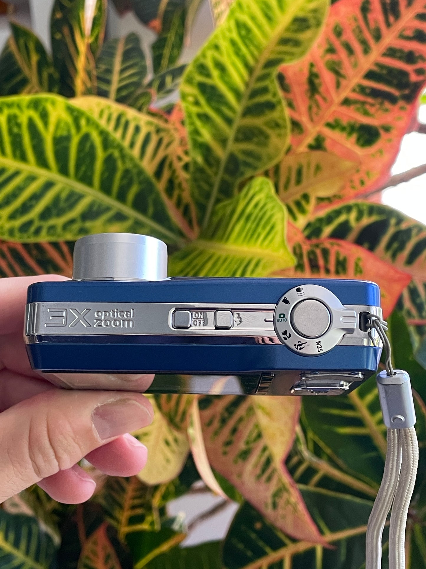 Kodak EasyShare C180 10.2 MP Digital Camera Bundle - Blue
